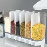 Wall Mounted Dry Food Dispenser