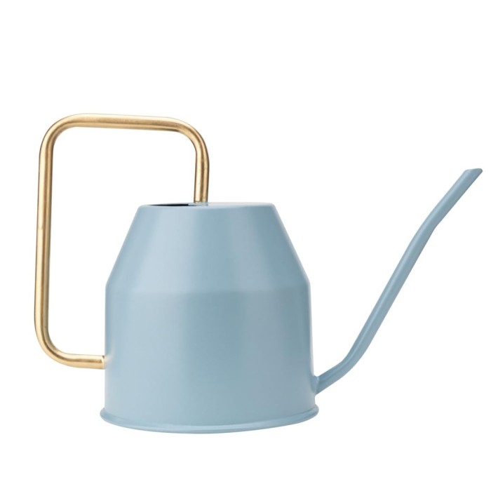 Plant Watering Can With Gold Handle