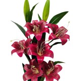 Indus Decor Artificial Flower